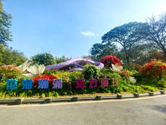 -海珠湖公园