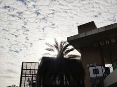 -宁波杉井奥特莱斯广场