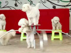 -南戴河国际娱乐中心