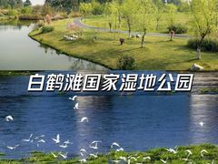 -桂溪生态公园