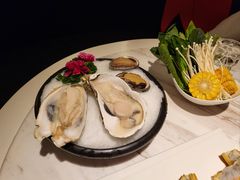 -汤城·料青山