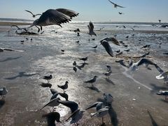 -老虎石海上公园