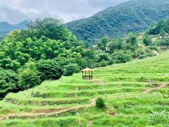 -石台牯牛降景区