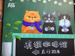 -有猫主题·治愈系猫咖(曾厝垵店)