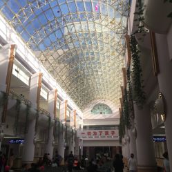 -上海交通大学医学院附属上海儿童医学中心(陆家嘴总院区)