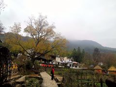 -塔川景区