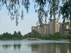 -洋湖国家湿地公园