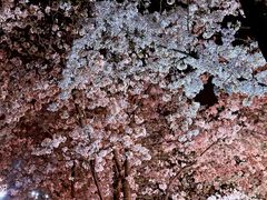 -龙美术馆(西岸馆)