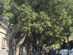 -北门涮肉·炭火铜锅涮肉(什刹海店)