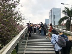 -南宁南湖公园