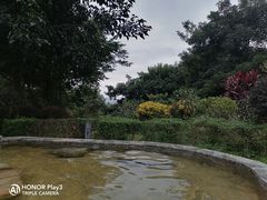 -英德宝晶宫天鹅湖茶语温泉