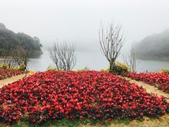 -广州市石门国家森林公园