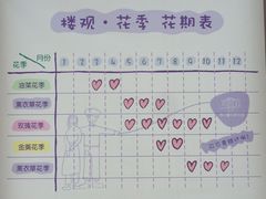 -曲江薰衣草庄园