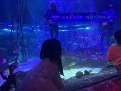 -沈阳海洋探索中心