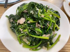 肉炒菠菜粉丝-九龙餐厅(大沽路店)