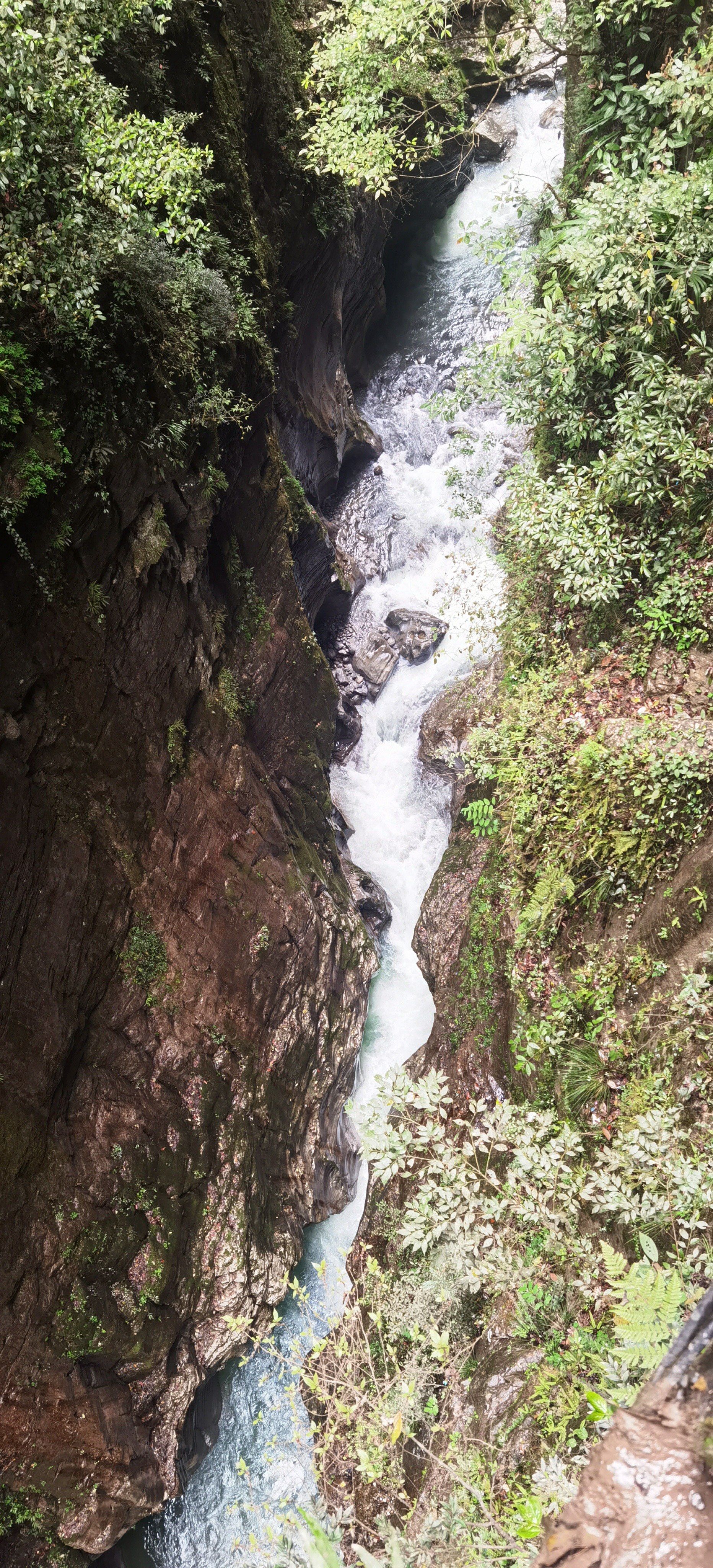 春日看好景 春天了,大山里的绿植都开始变绿啦,河水也都开化了,山间