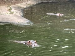 -泉州海丝野生动物世界