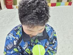 -世界之窗阿尔卑斯冰雪世界
