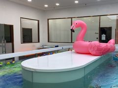-优加国际游泳中心(开发区万达店)