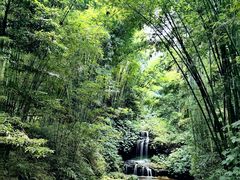 -蜀南竹海景区