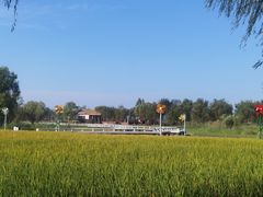 -长兴太湖图影湿地文化园