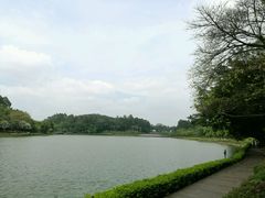 -南国桃园旅游度假区