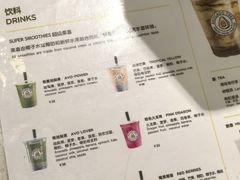 -油梨树 AVOCADO TREE(亮马桥店)