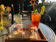 -柴犬高等学院·狗咖·柴犬售卖·宠物训练