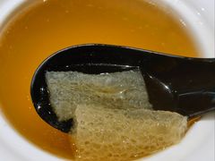 竹笙松茸鸡汤-苏堂阳春面•九年庆(北京路天河城店)