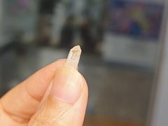 -火炉山森林公园