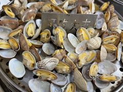 清蒸蛤蜊-九层海鲜塔(市南店)