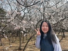 -绿堤公园