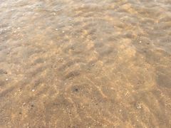 -北戴河东海水浴场