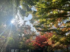 -西湖风景区十里琅珰-五云山