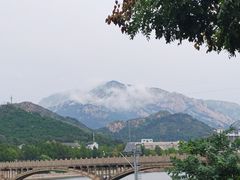 -燕塞湖鸟语林景区