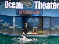 -苏州海洋馆