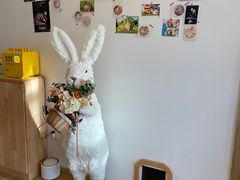 -猫腻·猫咖·撸猫馆(星光大道店)
