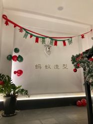 -蚂蚁造型俱乐部