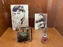 -武汉知音号