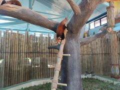 -辛玛王国游乐园