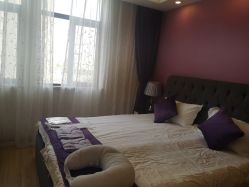 -海豚湾高端月子会所(黄浦店)