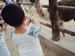 -西安秦岭野生动物园