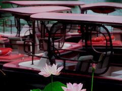 -后海公园