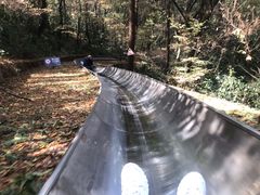 -东湖磨山景区