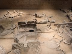 -洛阳周王城天子驾六博物馆