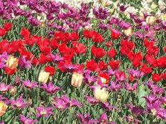 -长春公园(普阳街道)