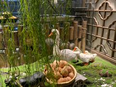 -淀里船宴(裕华东路店)