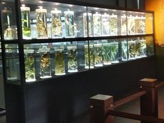 -广东中医药博物馆