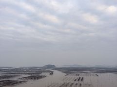 -北岐滩涂