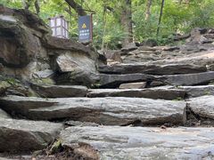 -大觉寺-停车场